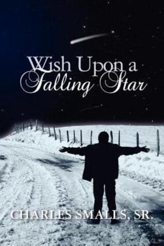 Wish Upon a Falling Star