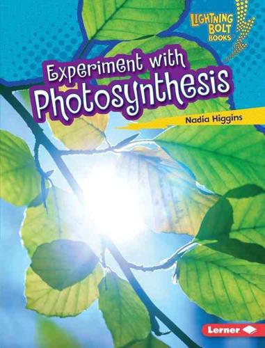 Experiment With Photosynthesis