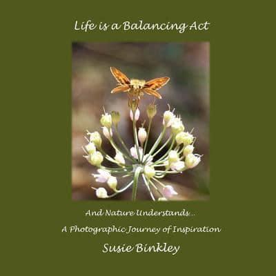 Life Is a Balancing Act and Nature Understands...