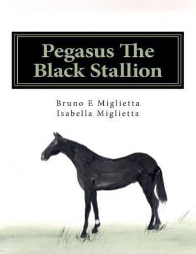 Pegasus The Black Stallion