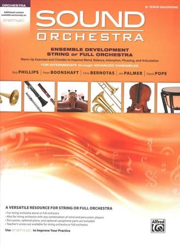 Sound Orchestra -- Ensemble Development String or Full Orchestra