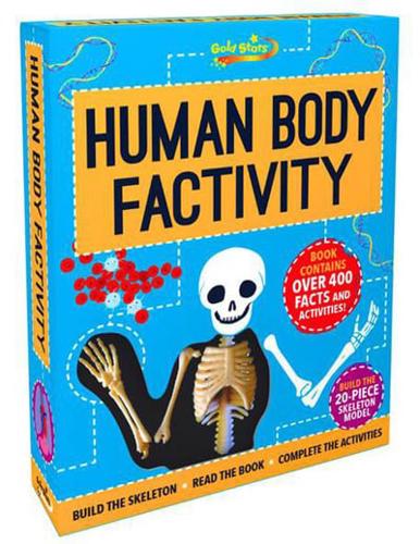 Gold Stars Factivity Human Body Factivity