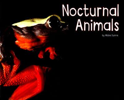 Nocturnal Animals