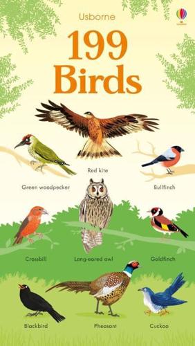 Usborne 199 Birds