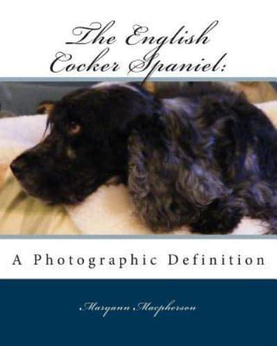 English Cocker Spaniel