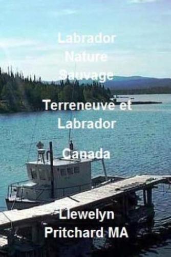 Labrador Nature Sauvage, Terreneuve Et Labrador, Canada