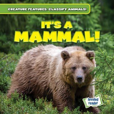 It's a Mammal!