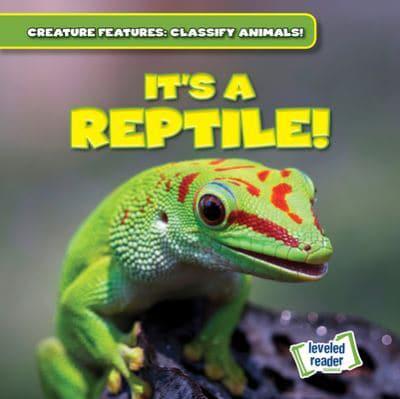 It's a Reptile!