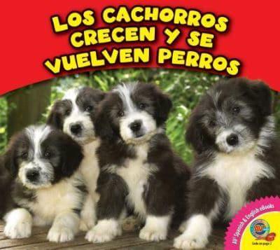 Los Cachorros Crecen Y Se Vuelven Perros