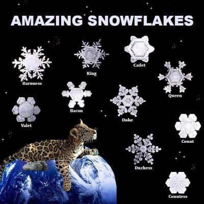 Amazing Snowflakes