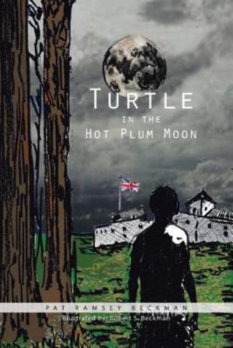 Turtle in the Hot Plum Moon