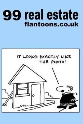 99 Real Estate Flantoons.Co.UK
