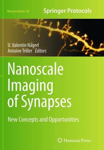 Nanoscale Imaging of Synapses : New Concepts and Opportunities