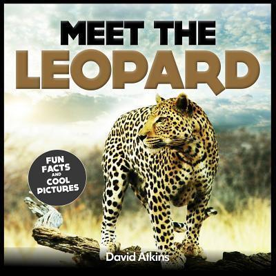 Meet The Leopard