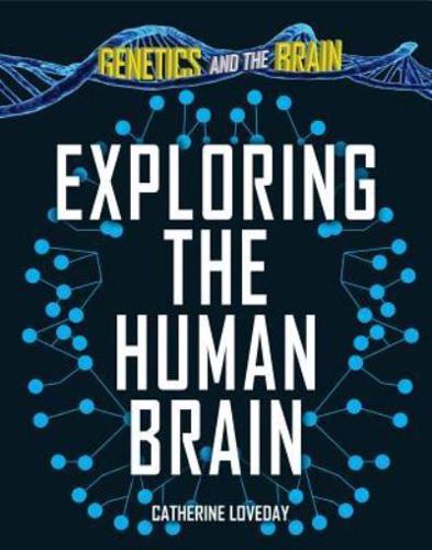 Exploring the Human Brain