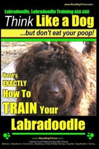 Labradoodle, Labradoodle Training AAA AKC