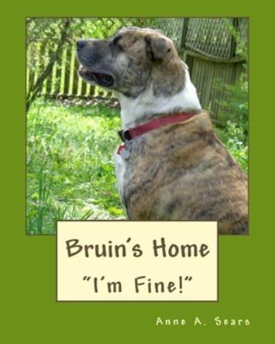 Bruin's Home (Book 3)