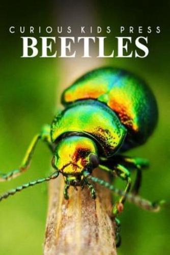 Beetles - Curious Kids Press