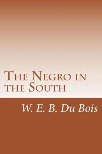 The Negro in the South