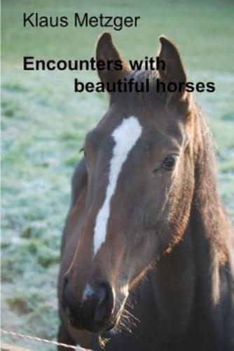 Encounters With Beautiful Horses