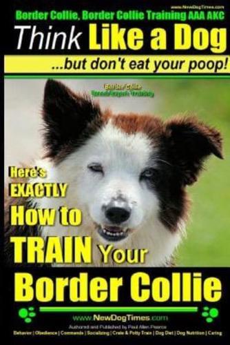 Border Collie, Border Collie Training AAA AKC