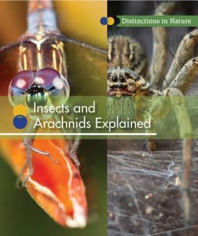 Insects and Arachnids Explained