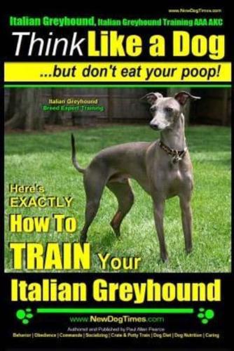 Italian Greyhound, Italian Greyhound Training AAA AKC
