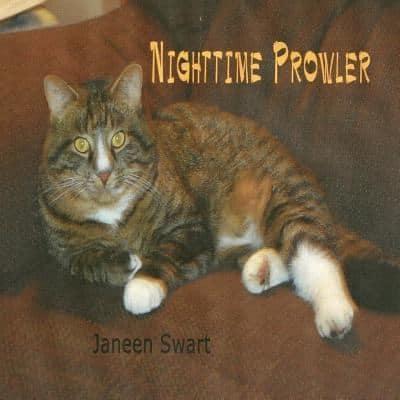 Nighttime Prowler