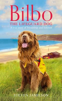 Bilbo the Lifeguard Dog