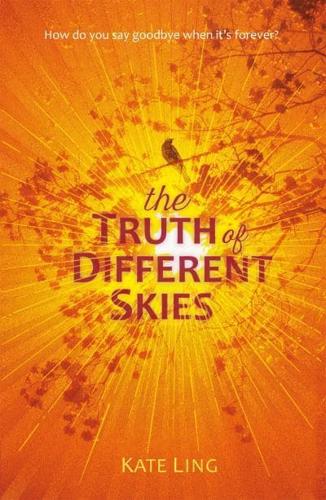The Truth of Different Skies