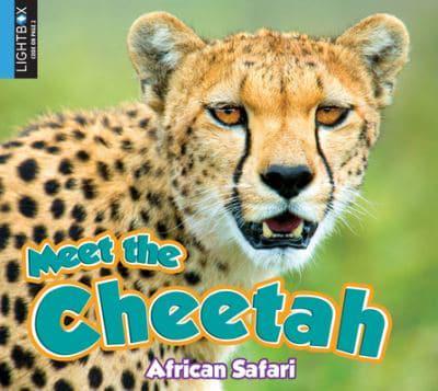 Meet the Cheetah