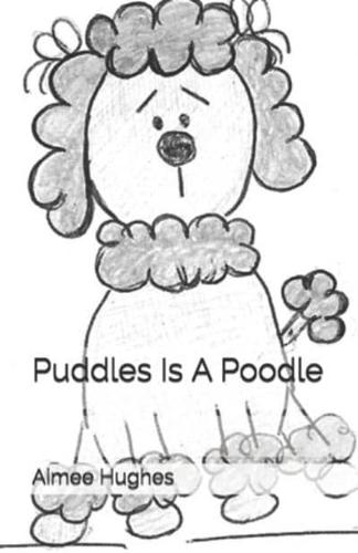 Puddles Is A Poodle