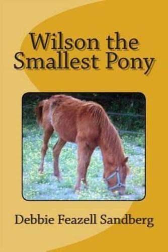 Wilson the Smallest Pony