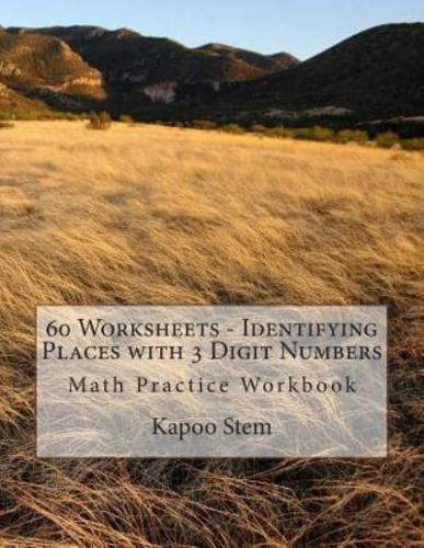 60 Worksheets - Identifying Places With 3 Digit Numbers