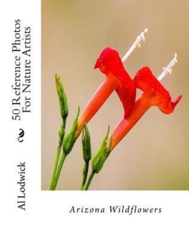 Arizona Wildflowers