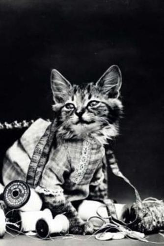 Mind Blowing Cute Vintage Cat Journal