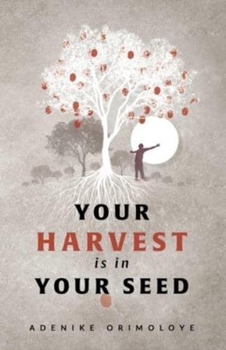 Your Harvest Is in Your Seed