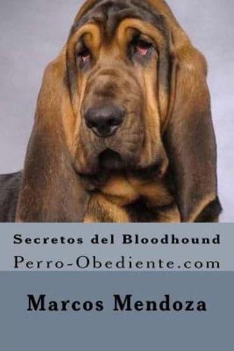 Secretos Del Bloodhound