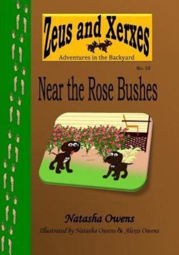 Near the Rose Bushes