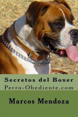 Secretos Del Boxer