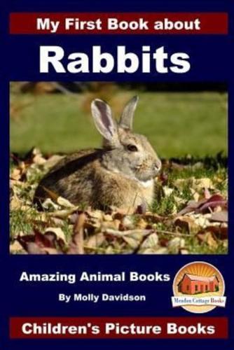 My First Book About Rabbits - Amazing Animal Books - Children's Picture Books