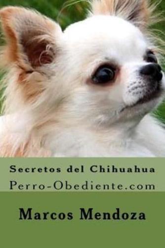 Secretos Del Chihuahua