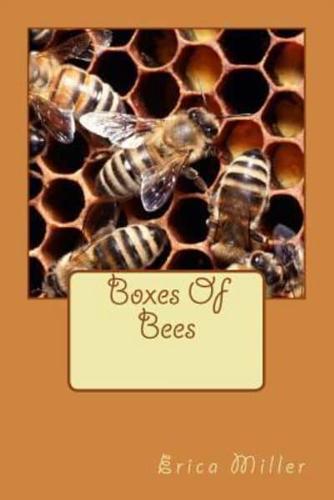 Boxes Of Bees