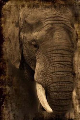 Mindblowing Elephant Journal 10