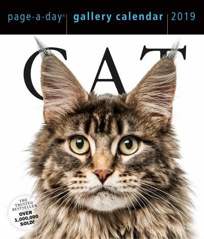 Cat Page-A-Day Gallery Calendar 2019