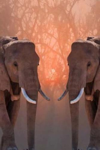 Mindblowing Elephant Journal 23