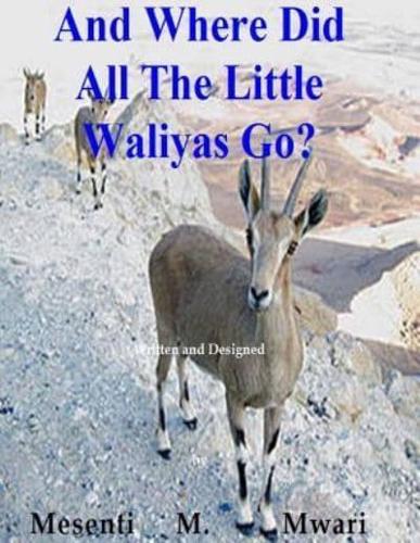 And Where Did All The Little Waliyas Go?