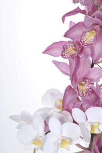 Mindblowing Orchid Journal 5
