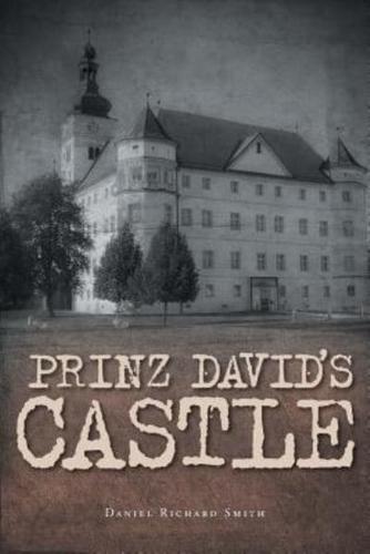 Prinz David's Castle