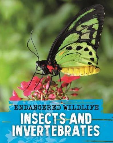 Insects and Invertebrates